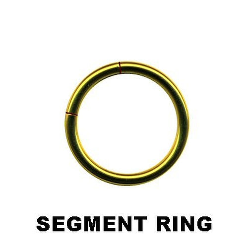 Segmentring aus Chirurgenstahl mit goldener PVD Beschichtung